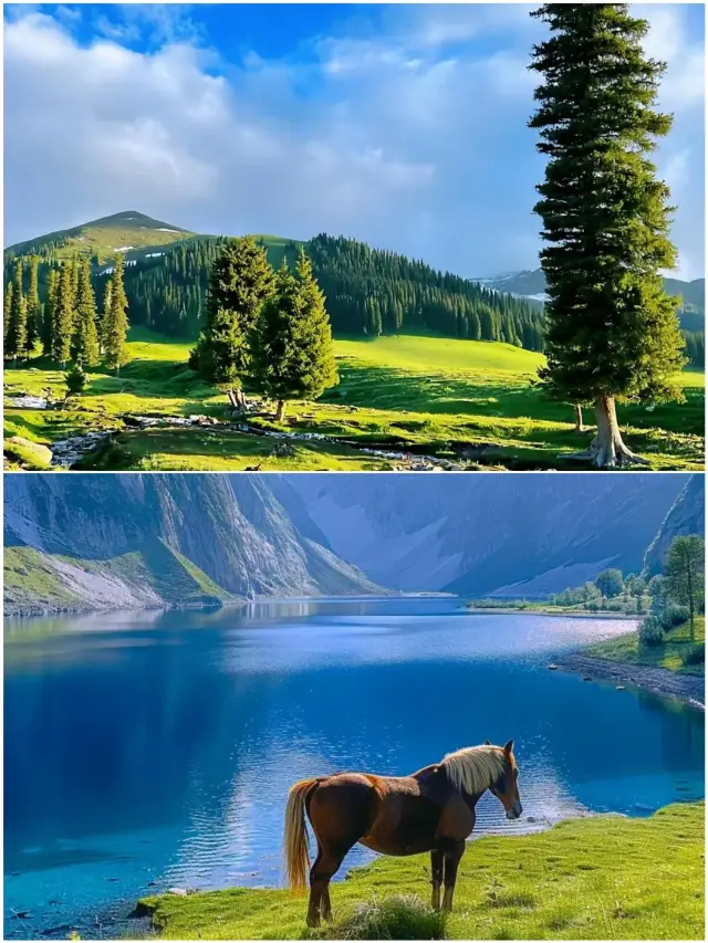 The February 2025 scene in Yili, don't forget to visit because of a song