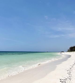 Mombasa Beach, Kenya: Tropical Charm in an Island Paradise 