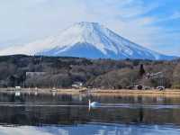 Dreamy Mt. Fuji