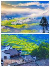 被《國家地理》封神嘅婺源篁嶺，春天真係靚到喊