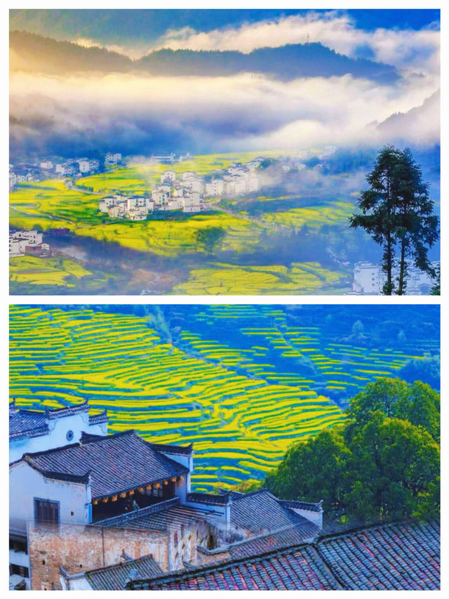 被《國家地理》封神嘅婺源篁嶺，春天真係靚到喊