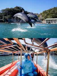 人間理想反向旅遊淡季的南伊豆下田