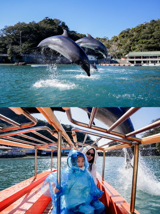 人間理想反向旅遊淡季的南伊豆下田