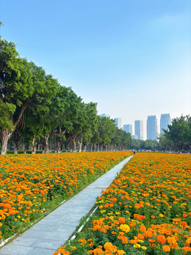 地鐵直達｜佛山賞花一日遊攻略