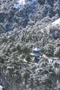 江西安徽｜南昌-婺源-黃山｜七天六夜旅行攻略