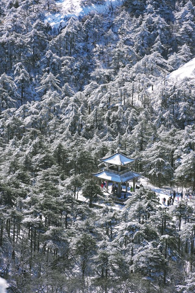 江西安徽｜南昌-婺源-黃山｜七天六夜旅行攻略