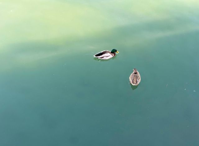 【穿越600年的秋日浪漫｜北海公園最全攻略丨