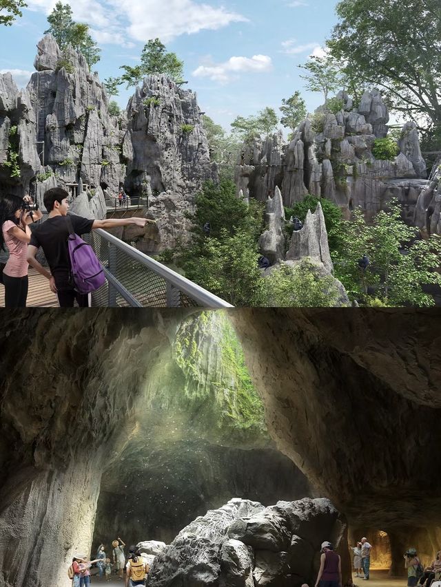 在新加坡可以入住萬態雨林野生動物園？