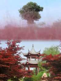 阜陽生態公園︱城市綠肺裡的奇幻旅程