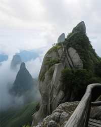 闖入貓兒山，邂逅綠野仙蹤