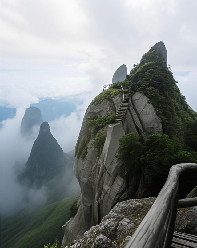 闖入貓兒山，邂逅綠野仙蹤