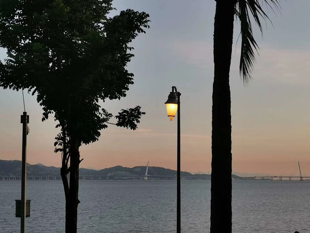 深圳灣出片暴擊！懸浮樹×鏡面沙灘ins風攻略