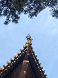 相信老祖宗的審美，不會錯！