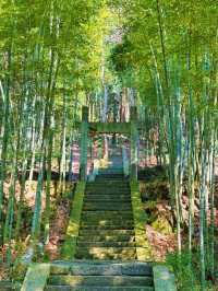仙華奇峰秀，雲霧繞山幽，仿若仙蹤留