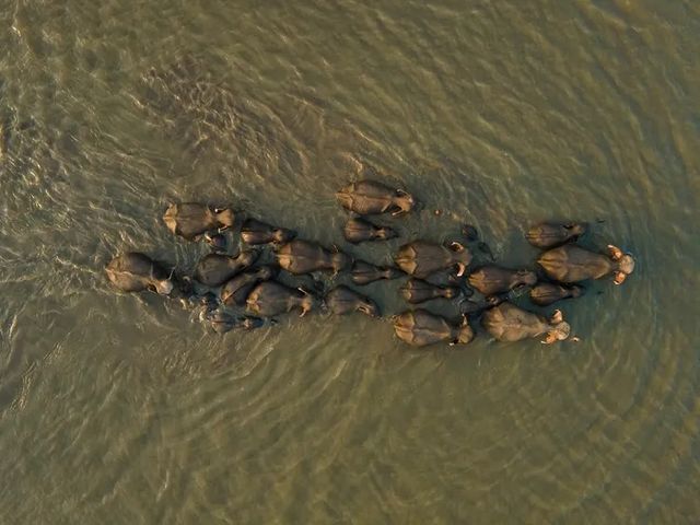 阿布加魯姆自然保護區（Abu Galum Nature Reserve）——紅海秘境探險之旅 