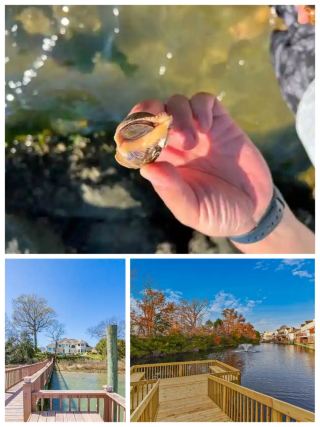 Virginia Beach: Your Guide to a Seaside Dream Getaway