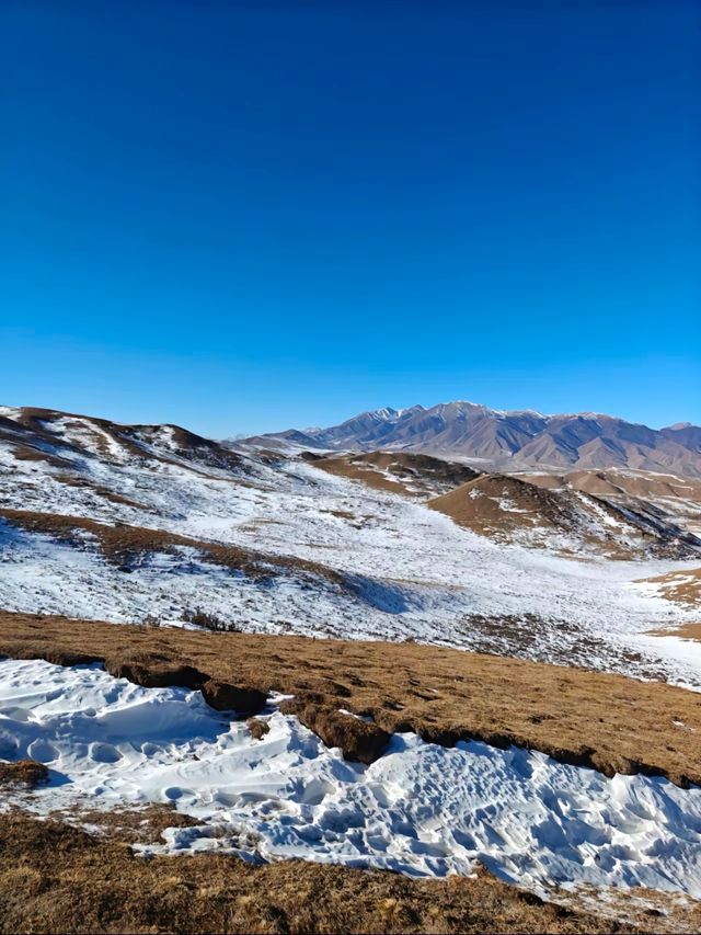 當你站在烏鞘嶺，是否感到大漢的千古蒼茫！