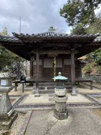 遠敷神社：奈良的隱藏瑰寶⛩️🌸