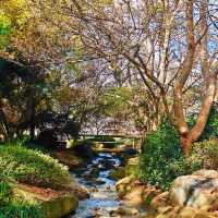 圖文巴｜12h花園之都city walk慢生活享受