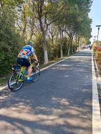 上海1小時車程丨週末賞油菜花勝地 人流少