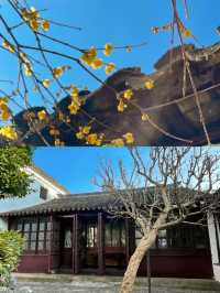 蘇州博物館已回，最強攻略來啦