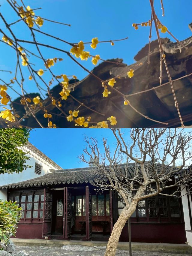 蘇州博物館已回，最強攻略來啦