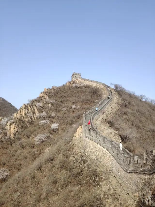 Juyongguan Great Wall Spring Flower Viewing