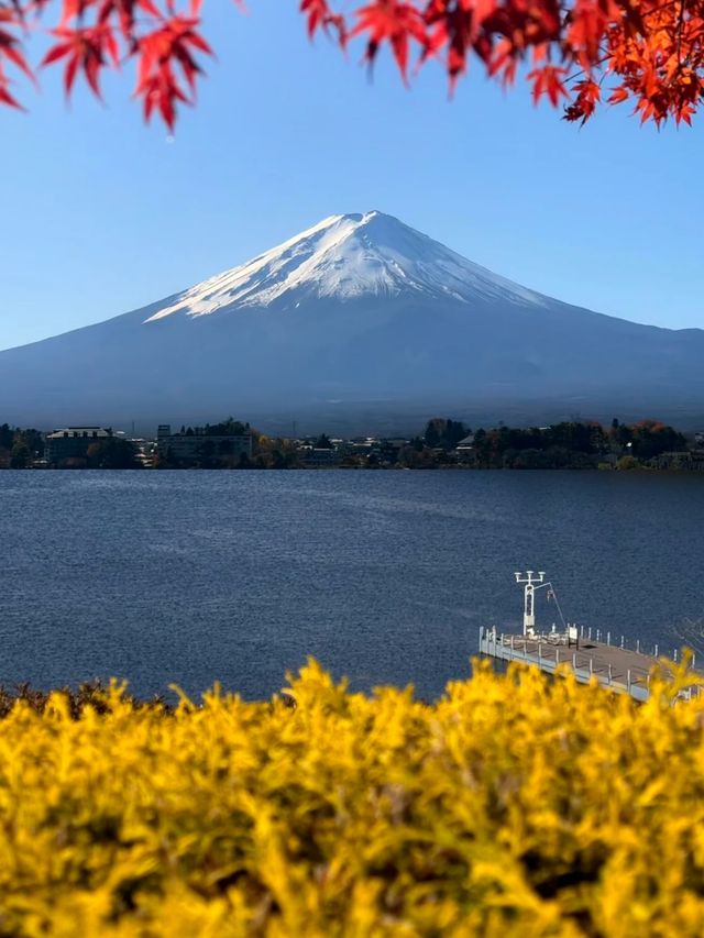 三島市旅遊攻略，解鎖小眾寶藏地
