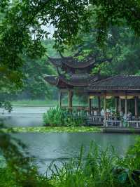 春日西湖 | 邂逅詩意江南