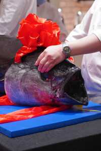 金槍魚開魚宴 | 一場味蕾與視覺的雙重盛宴