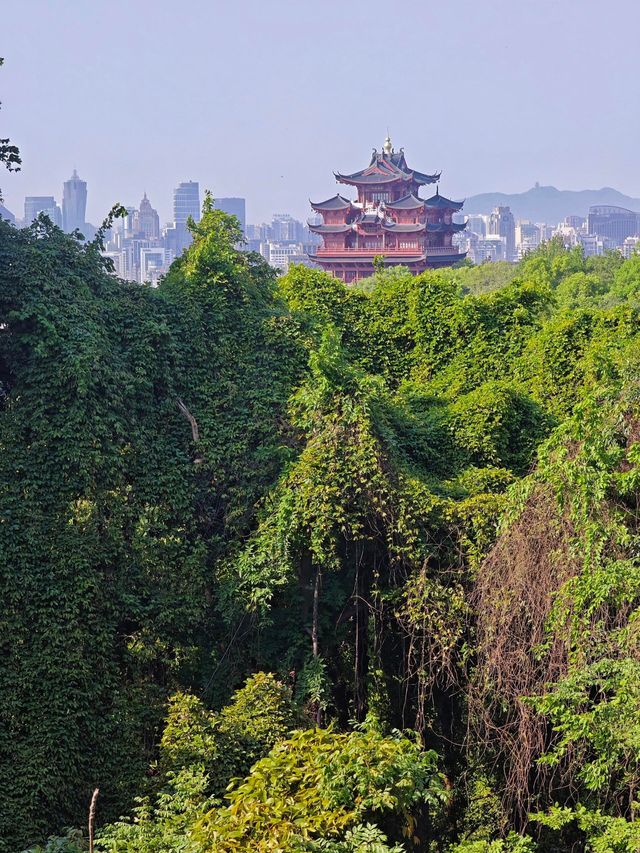 杭州旅遊攻略