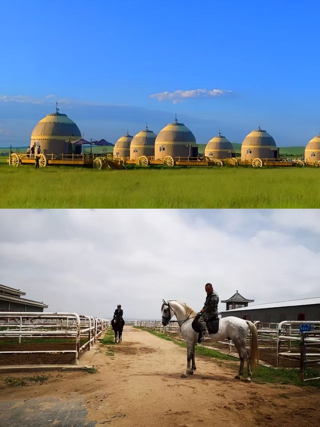 太僕寺旗杏花開！這波踏春玩法多！