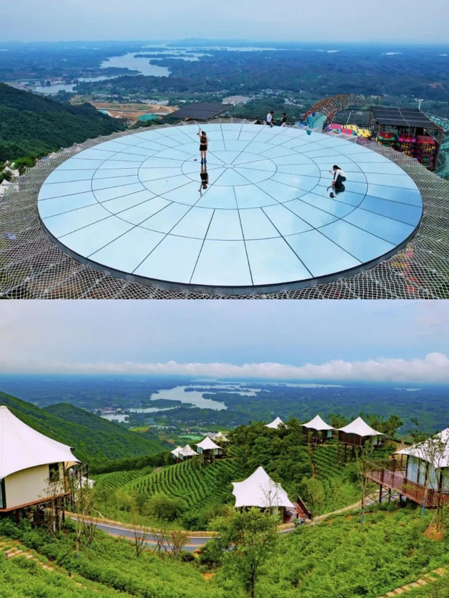 五一去邊玩？信陽毛尖茶旅路線來啦！