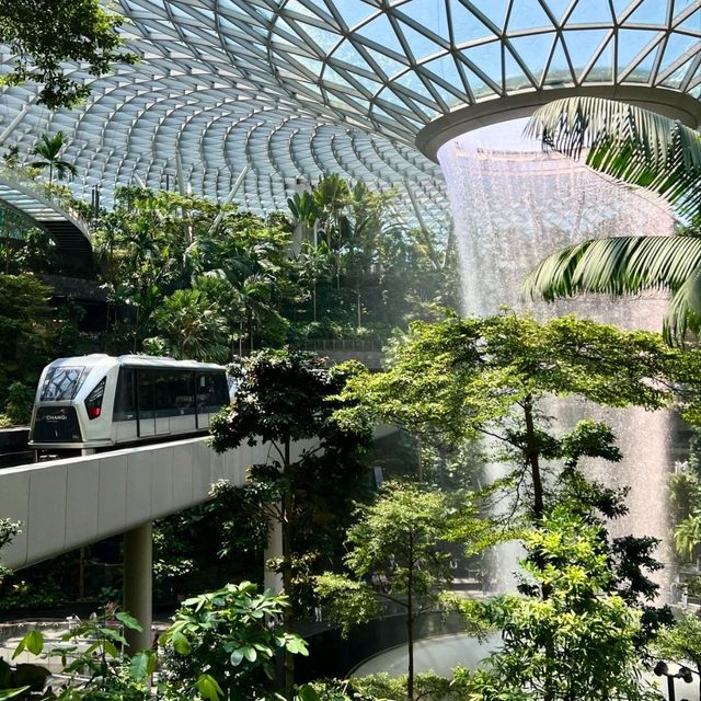 奔赴北緯1°的無盡夏｜在新加坡把浪漫寫成詩🌴 