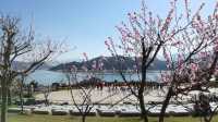 東江湖畔桃花漫，春季出遊指南