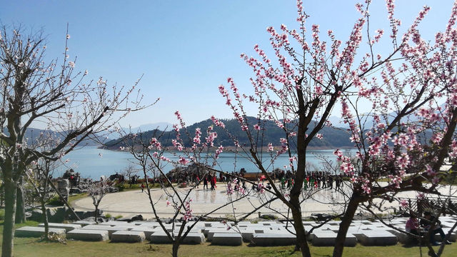 東江湖畔桃花漫，春季出遊指南