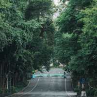 廣州小眾公園！樹木公園 這就是i人最愛的靜謐感吧