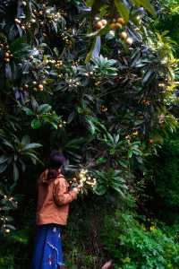 ——喺自然秘境中,喚醒生活嘅詩意