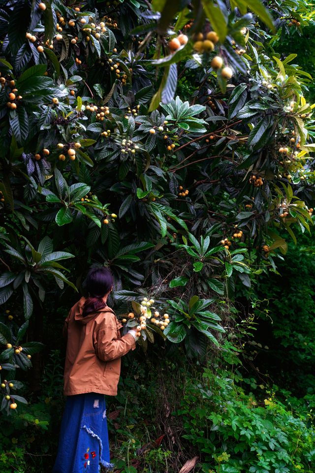 ——喺自然秘境中,喚醒生活嘅詩意 ——喺自然秘境中,喚醒生活嘅詩意