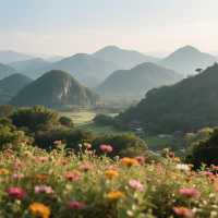 佛山景區旅遊拍攝最佳推薦