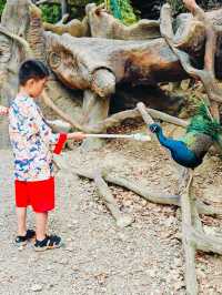 安吉嘉樂比萌寵樂園：超萌超可愛嘅毛茸茸小動物