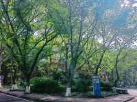 漫步山城學府：重慶大學深度遊覽攻略