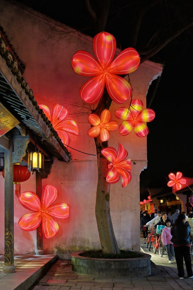 夜遊河渚街，燈籠點亮嘅人間煙火
