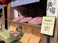 去有風的地方住上10天