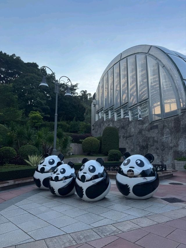 來澳門🇲🇴不去賭場，來路環徒步Chill一整天