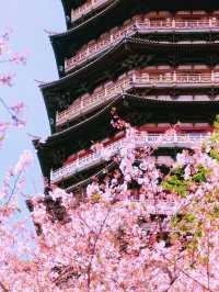 常州-泰州-興化 江南五日遊