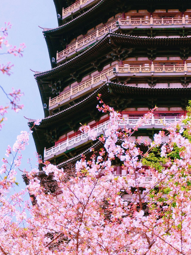 常州-泰州-興化 江南五日遊