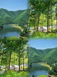 逃離城市，奔向綠野仙蹤