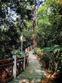 廣州越秀公園暴走實錄！逛到腿軟！
