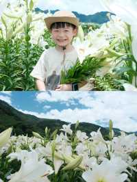 福州限定浪漫！呢片高過人嘅百合花海藏唔住啦～